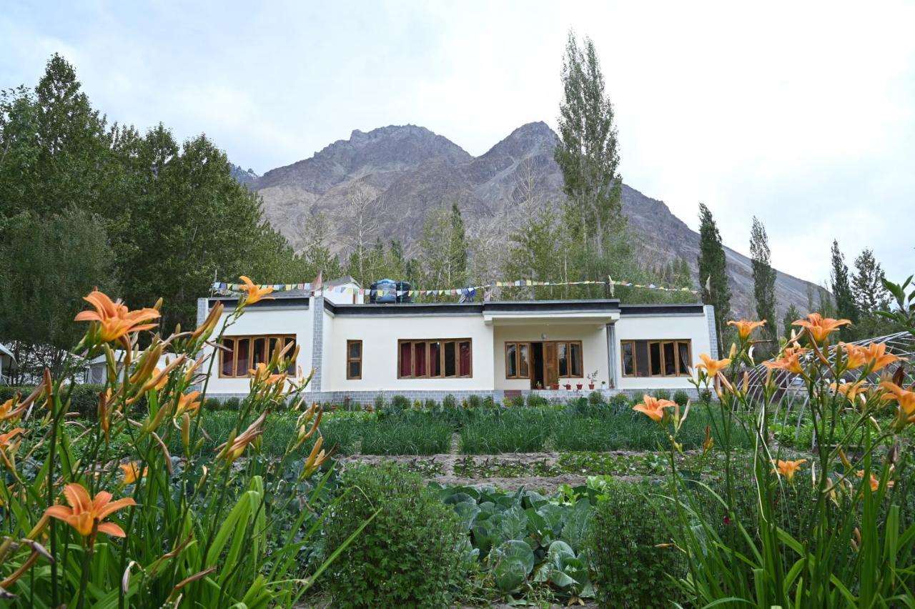 Hunder Stay And Camp Hundar Buitenkant foto